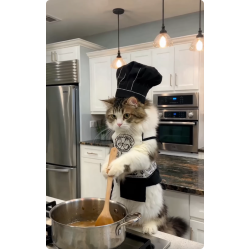 At Intelli Ai Industrial Sdn. Bhd: Bringing AI Solutions into Real Business Scenarios